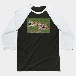 Tigers Baseball T-Shirt